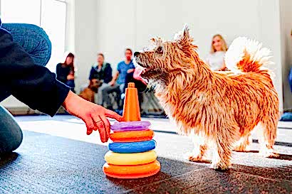 Индивидуальные занятия