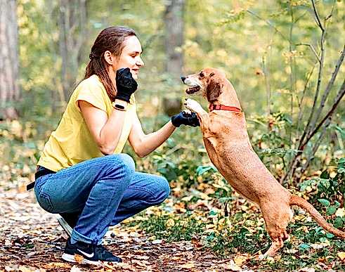 Тренер - Ольга Стеценко