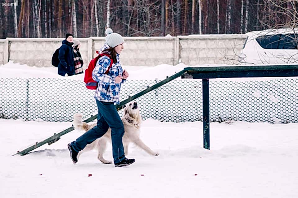 Нормативная дрессировка