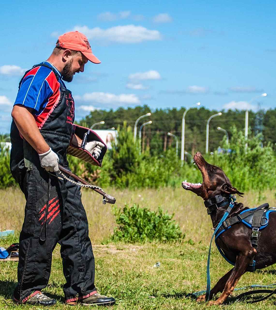 Занятия по защите